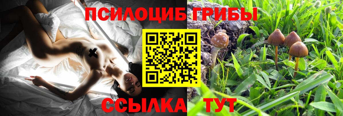 Галлюциногенные грибы ЛСД Ивантеевка